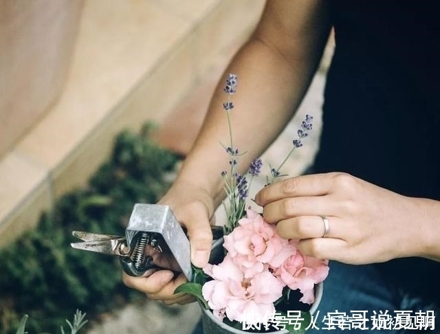 你的生活|看了这位日本妈妈的日常晒照,一方小院的乡下的生活,令人羡慕