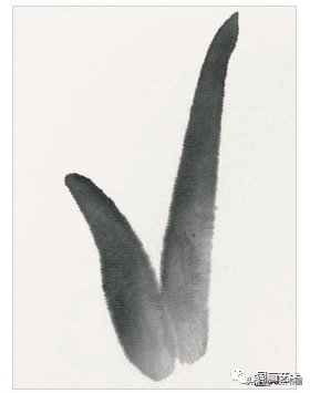 教程@图文教程——芭蕉画法