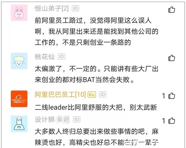 张勇|阿里张勇回应35岁程序员的职业选择,网友:好话歹话都是你在说