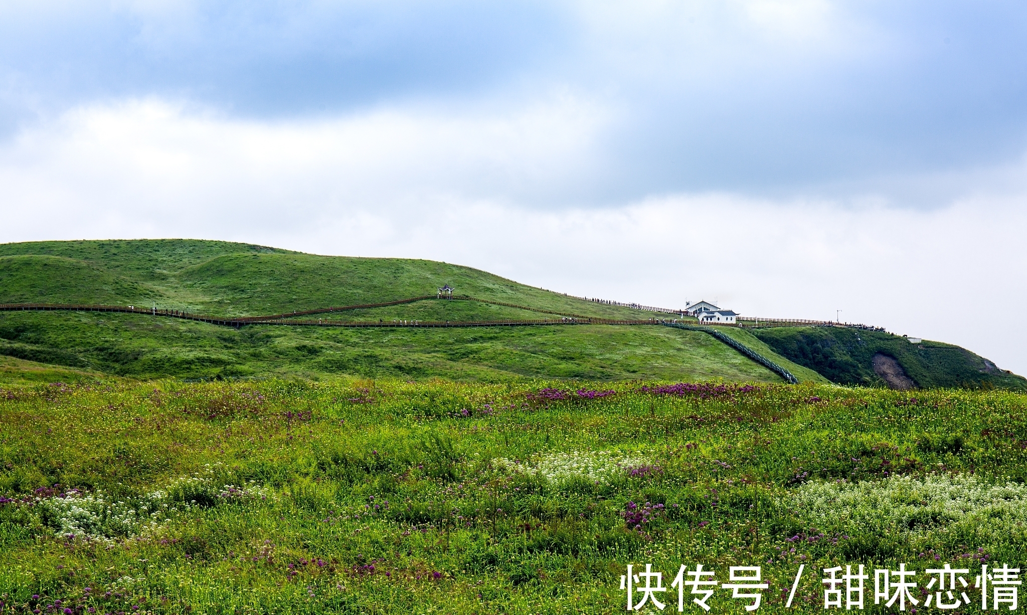 西楼思绪悠|花影诗词25首：摇曳纤枝花影柔，孤坐西楼思绪悠