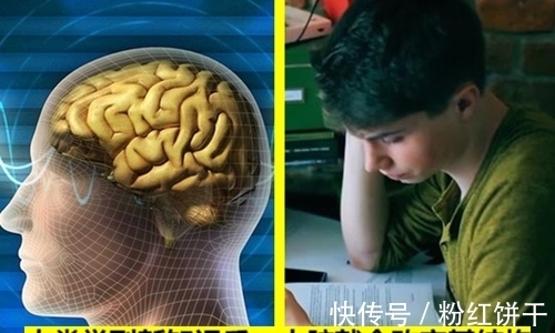 冷知识普及：12个存在的有趣事实，但很多人也许并不清楚