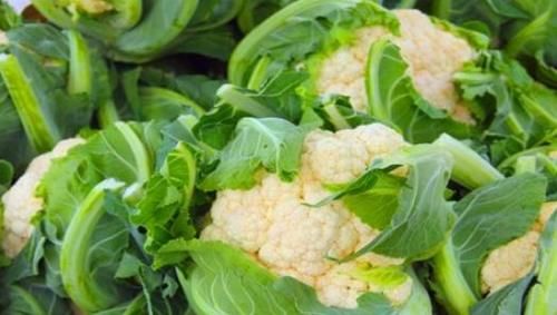  维生素|人到中年想“续命”，4种食物“铆劲吃”，排毒润肤，杀菌补血！