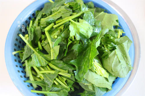 清香|冬天我家最爱吃这绿叶菜，2元买一把，大火一炒，清香开胃