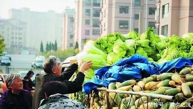 目瞪口呆|入冬了,听说东北人开始论车买菜了,南方人看得目瞪口呆