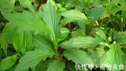 皱纹|女人可以常吃3种食物,滋养皮肤,减少皱纹,增强皮肤弹力