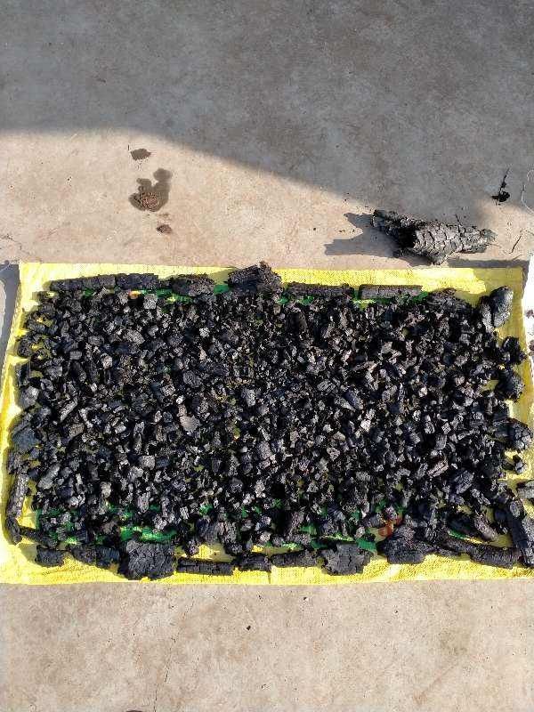 花花|换盆后的旧土别扔,掺上4种东西,土肥得“流油”