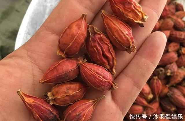 降尿酸的神器公布，苏打水并不排首位，敞开喝，尿酸回归正常