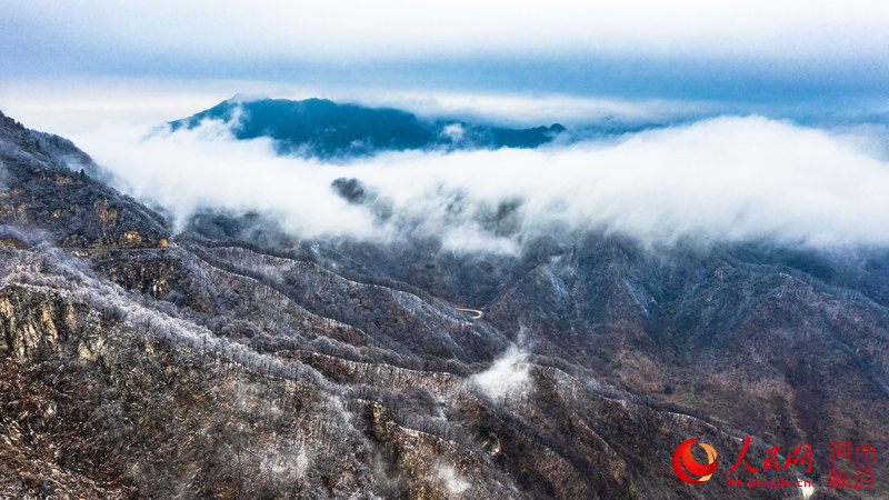 雪山|洛阳白云山：云海缥缈 雪山壮观