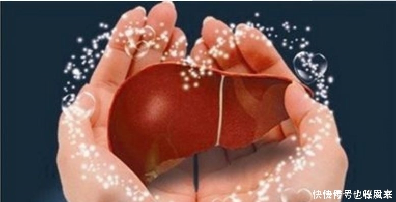 肝好的人,手上可能有3个“记号”,若发现一个,恭喜,肝较健康