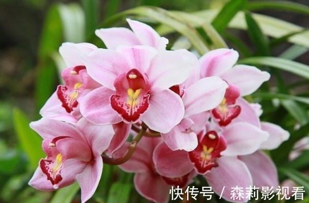 最亲的人#俗语:“人穷不思三人”,指的是哪三个人?可惜明白太晚