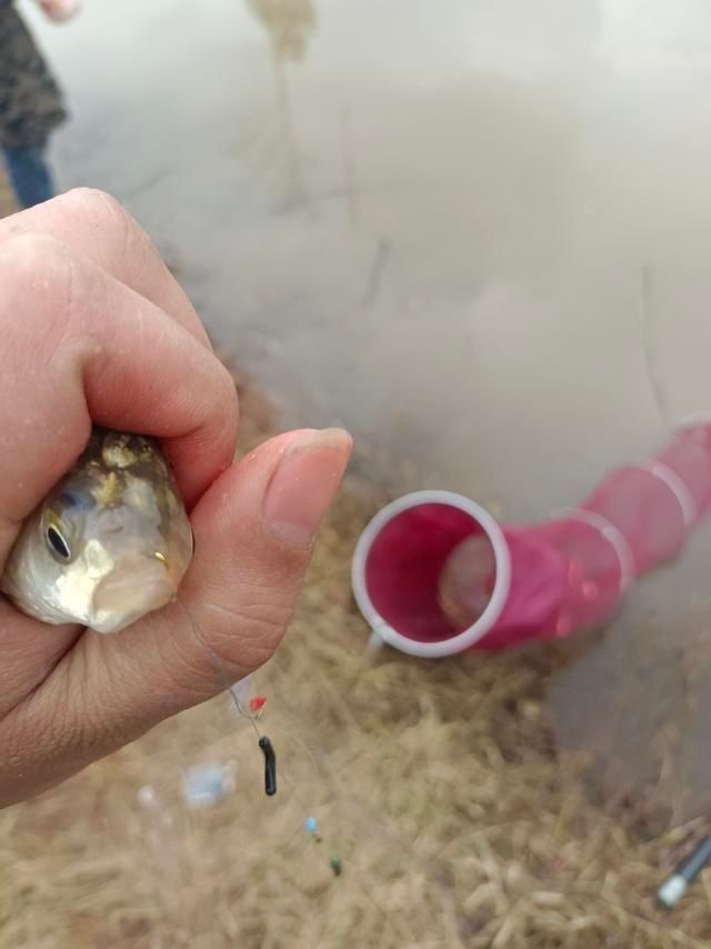 从年尾钓到年头,寓意年年有渔