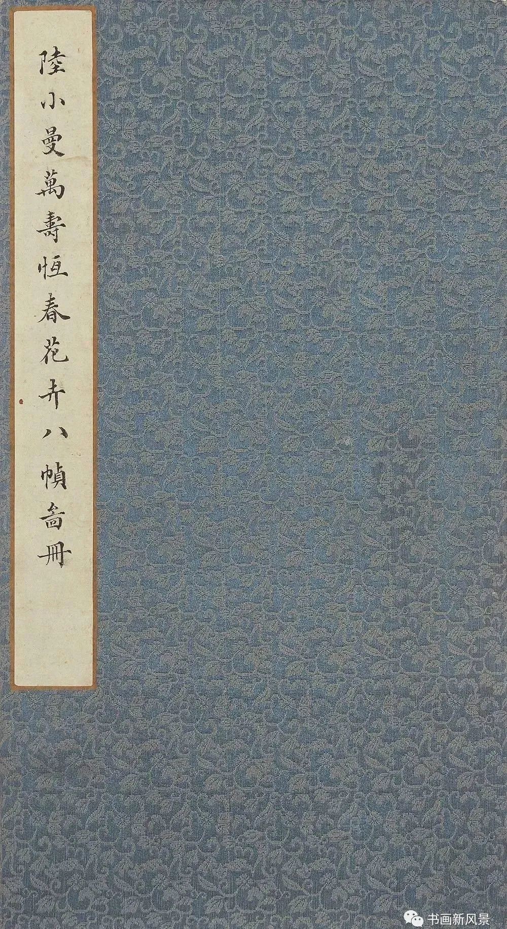 陆小曼花卉册页,很美很惊艳!