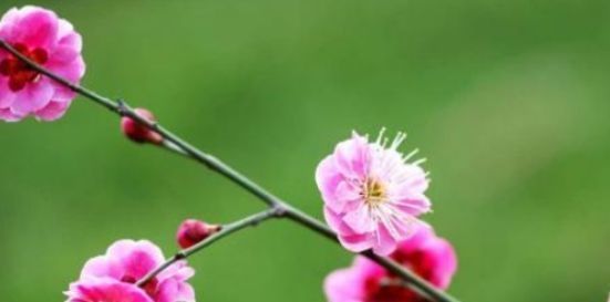 征兆|一个人,苦吃多了,即将转运,才有这三个征兆(很准)