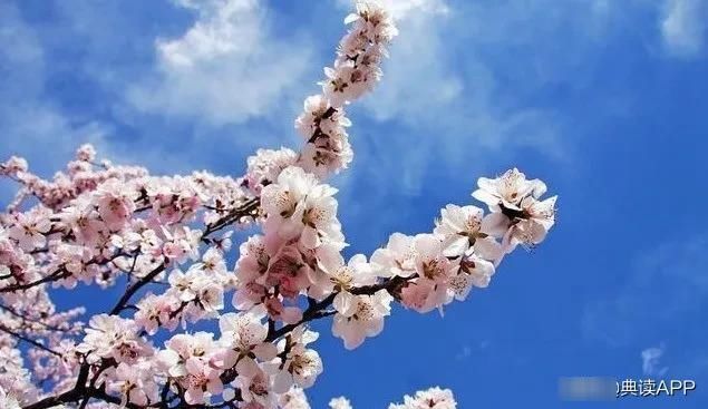 马上作|不知名诗人,无意仿写了陆游的一句诗,不料却成为千古名句