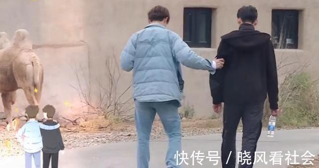 《親愛的客棧》張翰贏了,他背后的男人馬天宇也贏了