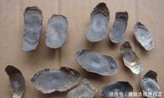 表面|古代银子究竟长什么样?专家:表面都是牙印,丢在地上认不出
