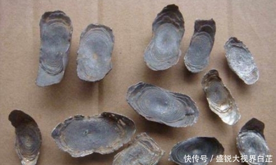  表面|古代银子究竟长什么样？专家：表面都是牙印，丢在地上认不出