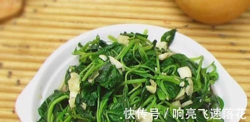 野菜|这野菜农村遍地都是，是小孩的天然钙片，含钙量多还容易吸收！