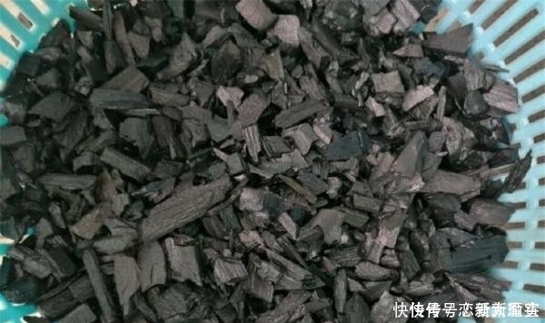 肉肉|只有少数人才知道，用这种方法，短时间就能让多肉植物变旺盛！