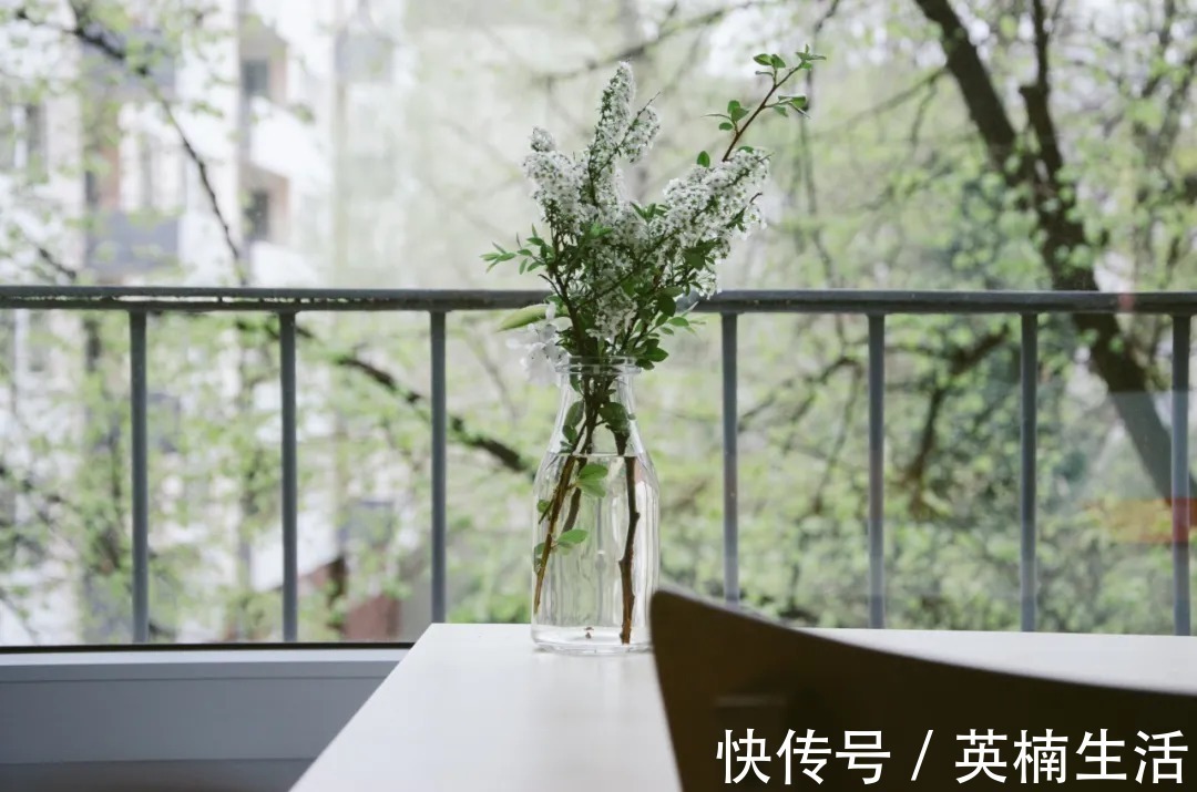 西洲|诗词鉴赏丨中国最美的十大名诗,一生至少要读一次