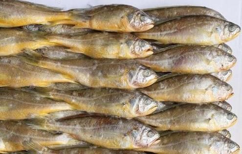 去市场买鱼，专挑5种，美味还便宜，老板：这一看就是行家