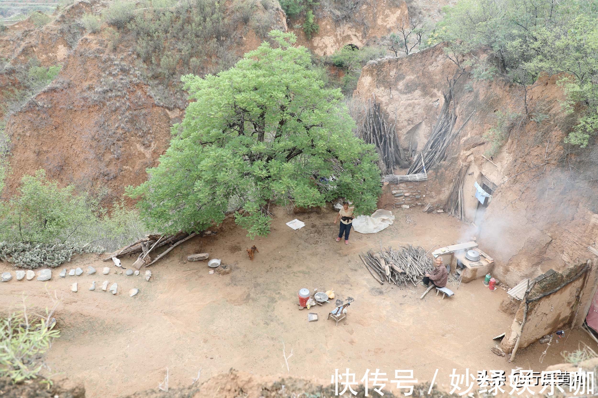 老两口#60年前独生女初中毕业被父母强行招了上门女婿,如今活成啥样?