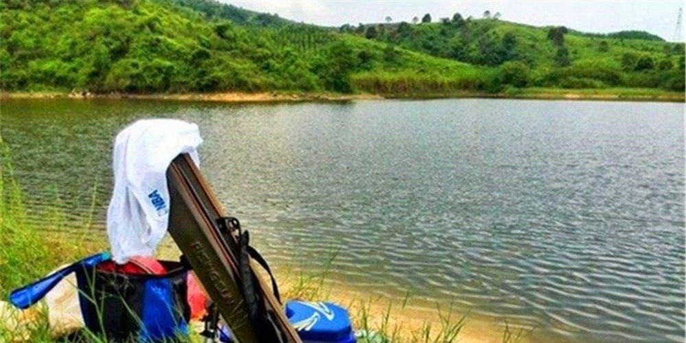 盛夏钓位深浅选择“绝招”：鱼“吃饭”时钓浅，鱼“休息”时钓深