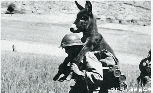 近乎|日军唯一清醒的师团,别人打仗他们疯狂捞金,投降时还近乎满员