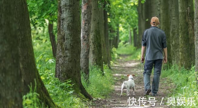 黄金期|养生专家:饭后半小时养生黄金期,坚持好习惯,长寿或向你招手