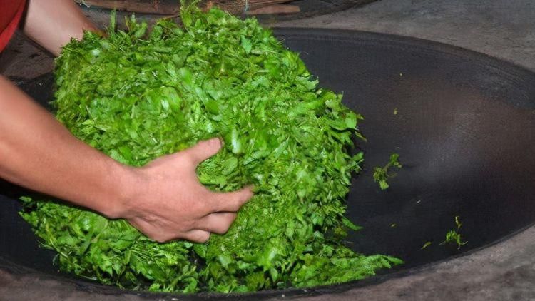 食物|女性不想变老，不妨多吃以下食物，减肥瘦身，滋养皮肤，早吃早好