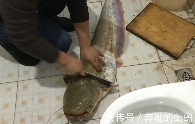 因鱼竿被大鱼拖走，广东一钓友下水溺亡，当地人：河里好多大鱼