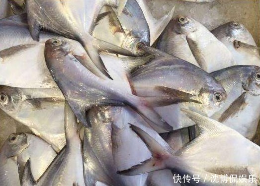 过年吃鱼,专买这3种鱼,全是野生的,肉多刺少营养足,放心吃!