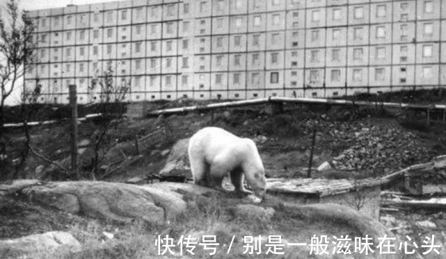 废墟#世界上最大的废墟:俄罗斯西伯利亚、远东,正被废弃!