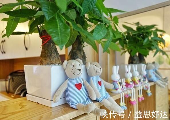 邻居|婆婆三个月装修的房子，还在通风中，邻居天天上门参观