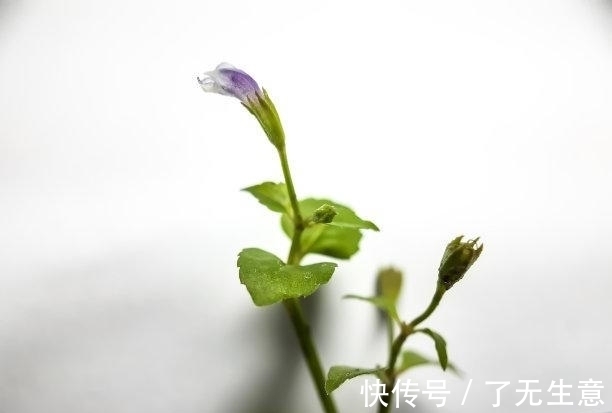 旧爱|未来1天，雨过天晴，真情再现，旧爱感动，破冰和好，永不分离