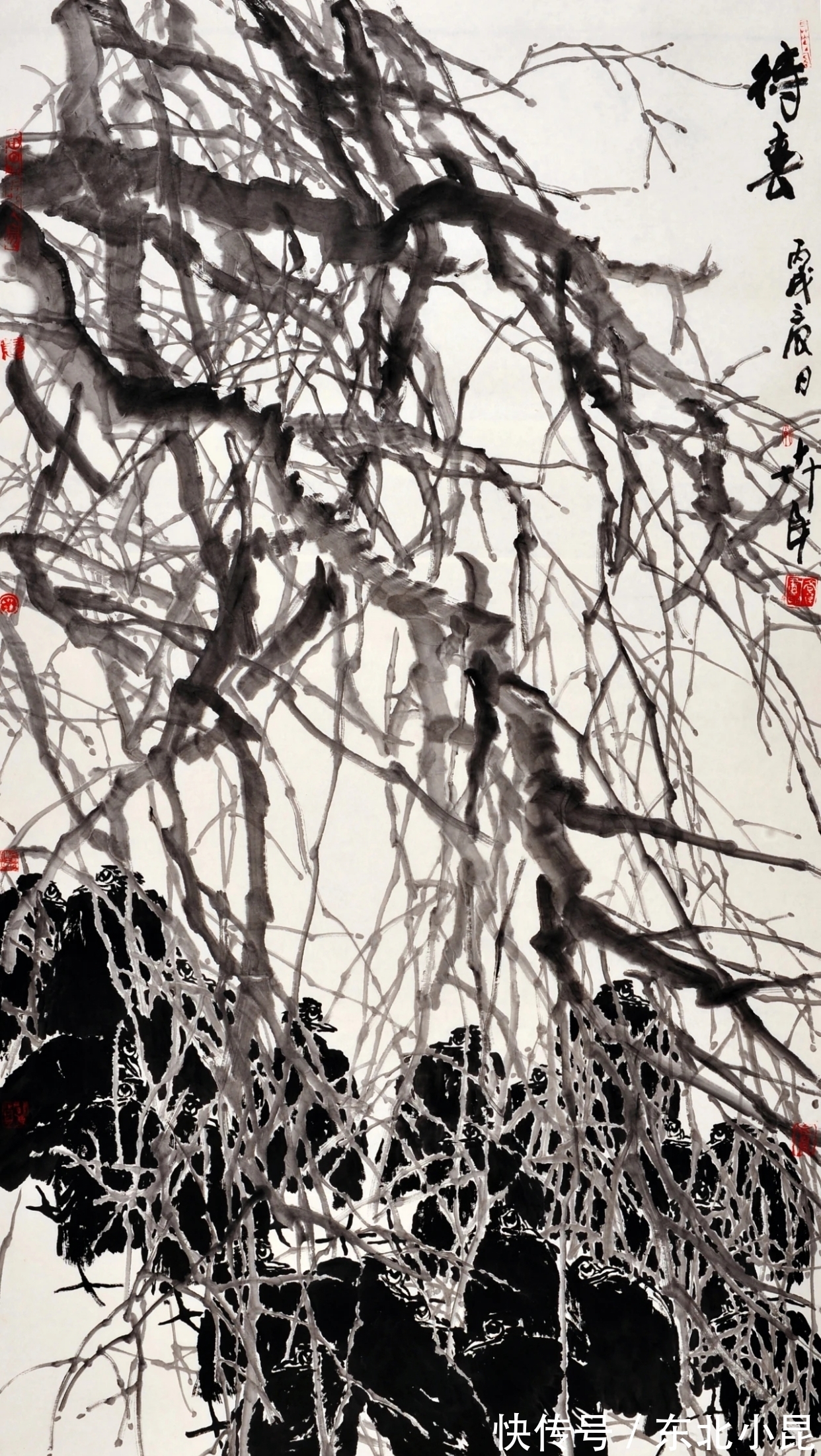 大写意@高卉民｜北方大写意花鸟画领军人