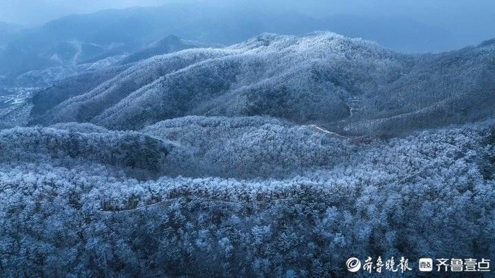 雾凇|玉树琼枝宛若仙境！济南九如山现绝美雾凇奇观