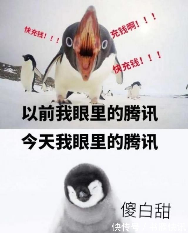 萝卜章|腾讯被群嘲背后不只是一场全民娱乐这么简单