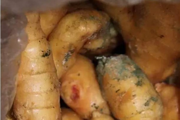 调味品|生姜的4个错误吃法,严重危害健康,尤其最后一个,还有患癌风险