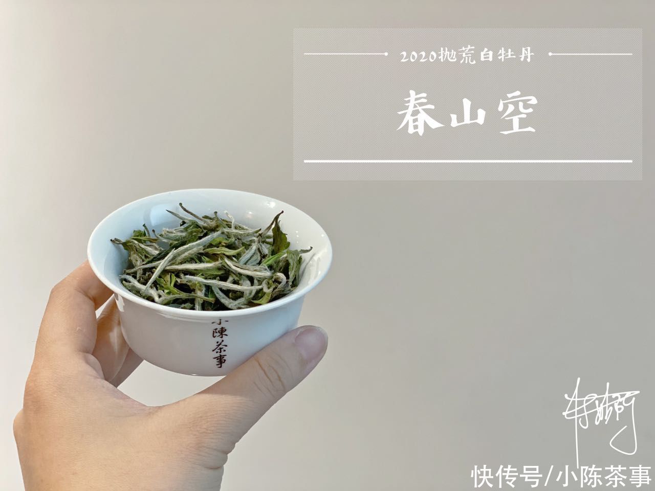 冲泡白茶|买大还是买小？买厚还是买薄？有关白瓷盖碗的答案都在这了