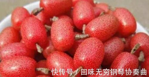 胡萝卜素|不可忽略的养生食物,建议常吃,加速消化,保养皮肤,预防黑色素