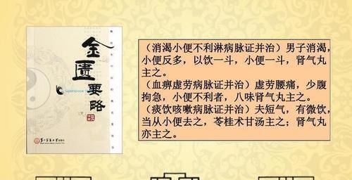 内经|桂附地黄丸和金匮肾气丸各自的功效有什么不同？