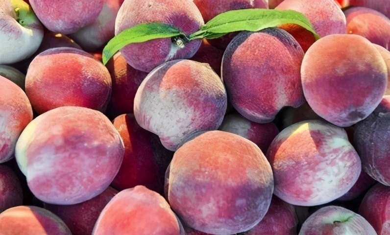 新陈代谢|想长寿先排毒,坚持吃以下食物,营养丰富,促新陈代谢