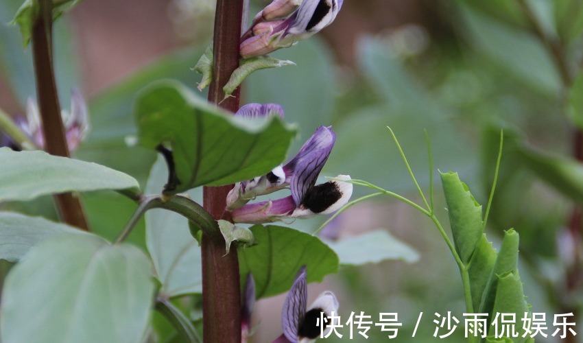 流水|被财神“青睐”的三大生肖女，花钱如流水却从不差钱，越花越富有