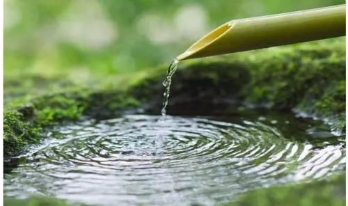 心静|养生先养心，你知道怎么养心吗？