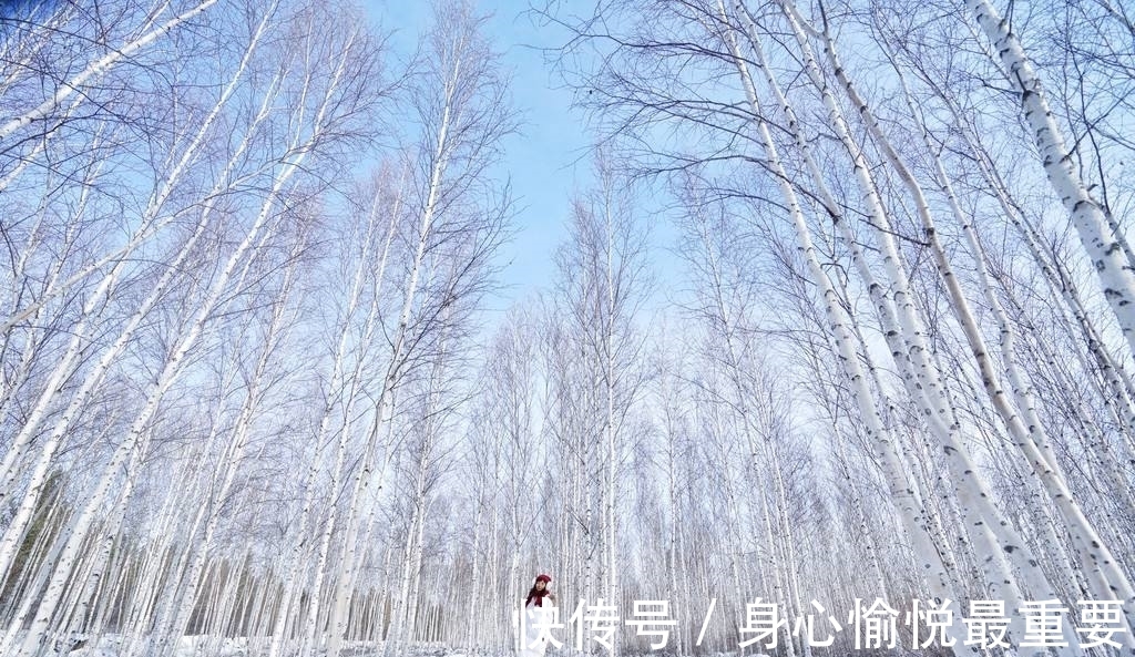 大雪#元代诗人一首咏雪七律，风竹云松银凤玉龙，浪漫主义情调让人心动