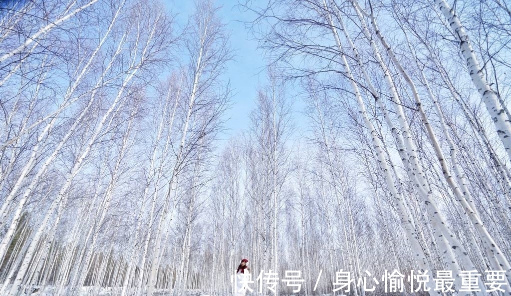 大雪#元代诗人一首咏雪七律,风竹云松银凤玉龙,浪漫主义情调让人心动