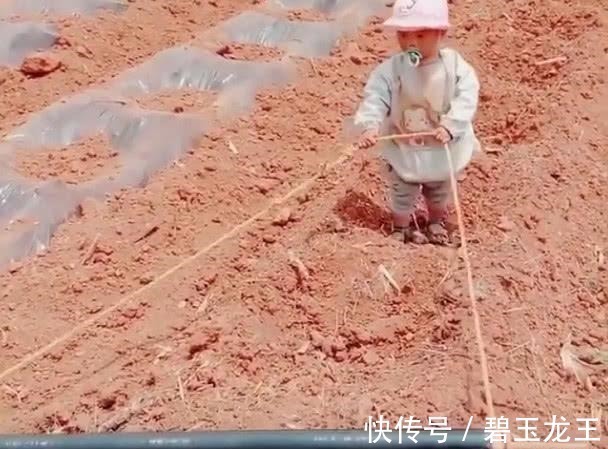 力气|“小奶嘴宝宝”下地干活火了,为了这个家也是操碎了心