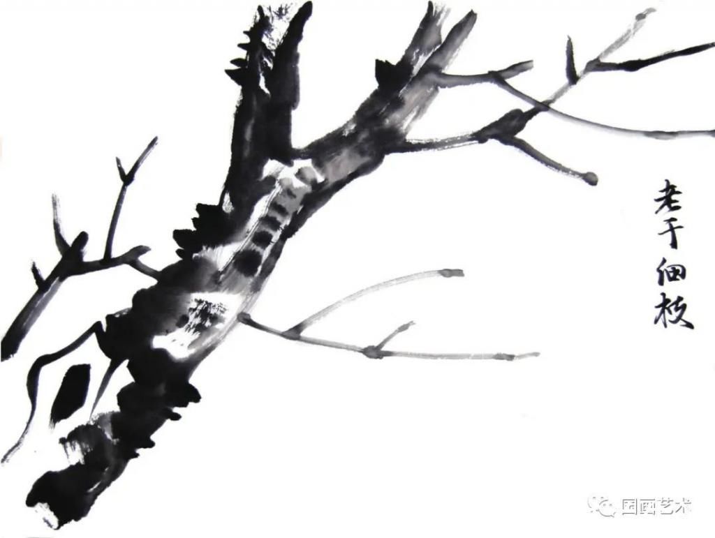 垂枝！图文教程：轻松学画写意木本花卉枝干