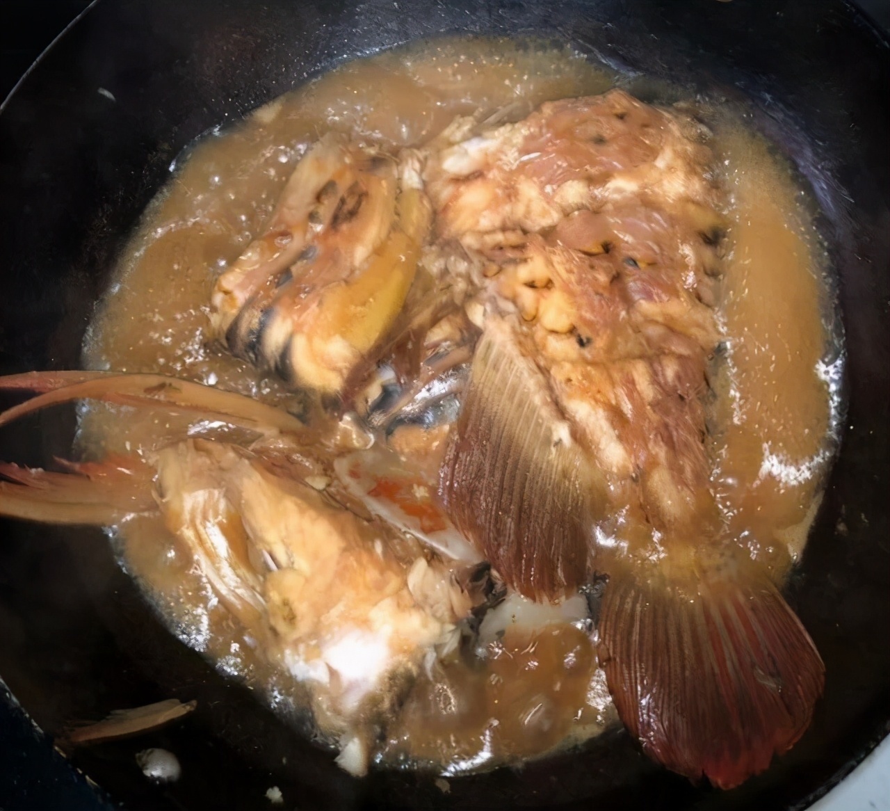 东莞一钓鱼人河边发现“龙鱼”，网友一条值几百，赚大了